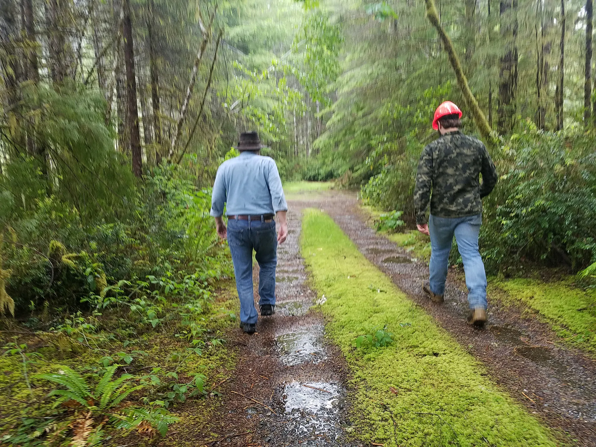Black-Priest trail, Elliott State Forest (2019, 2020 report)